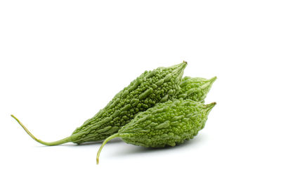 Close-up of leaf against white background