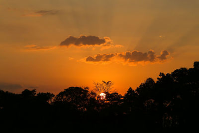 Silhouette trees against dramatic sky during sunset