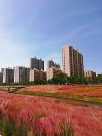 Buildings in city against clear sky