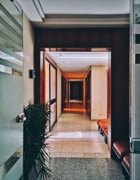 Corridor of building