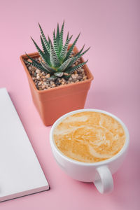 High angle view of potted plant on table