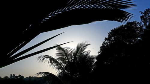 Low angle view of silhouette trees against sky at sunset