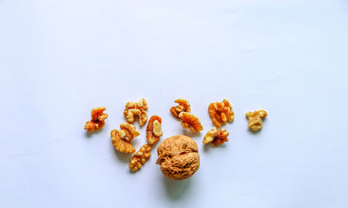 Close-up of food on white background