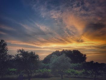 Silhouette trees against sky during sunset