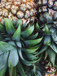 Full frame shot of vegetables