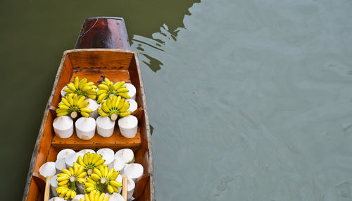 High angle view of potted plant in container