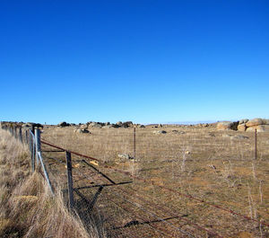 Scenic view of field against clear blue sky