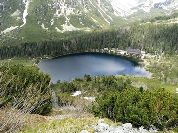 Scenic view of lake in forest