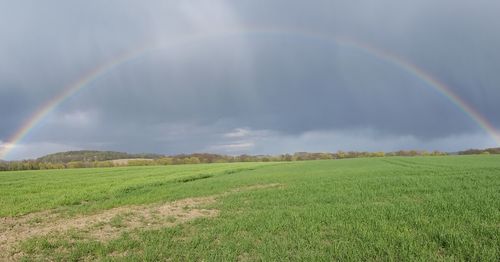 Scenic view of rainbow over field