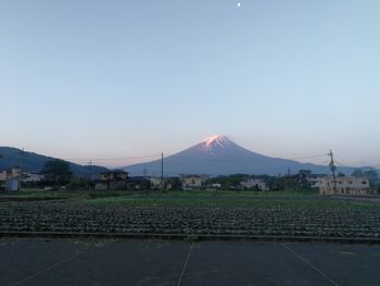 Scenic view of field against clear sky