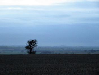 Silhouette tree on field against sky