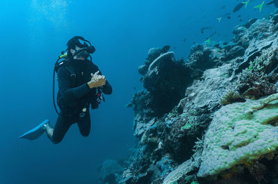 Diver exploring coral at the great barrie reef