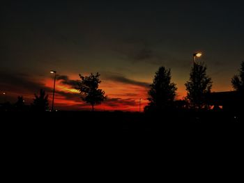 Silhouette trees against sky at night