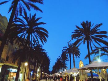 Low angle view of illuminated palm trees against blue sky