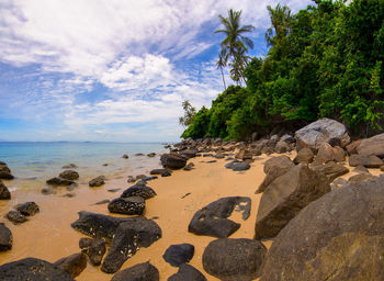 Scenic view of beach against sky