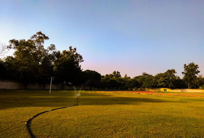 Scenic view of field against clear sky