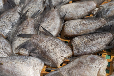 High angle view of fish for sale in market