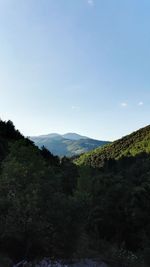 Scenic view of landscape against clear sky