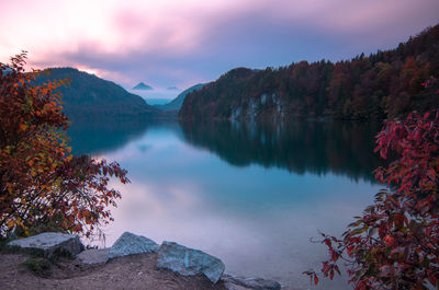 Scenic view of lake by trees against sky during sunset