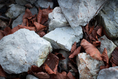 High angle view of rocks on field