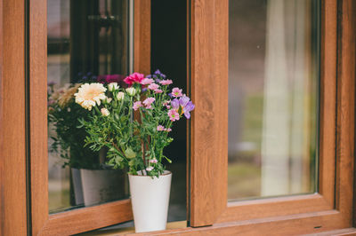 Close-up of potted plant on glass window