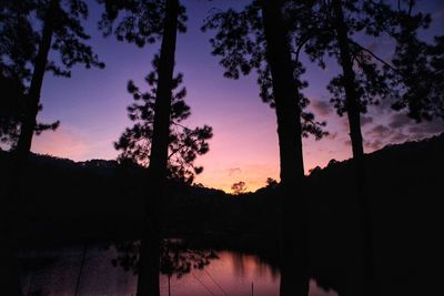 Silhouette trees by lake against sky during sunset