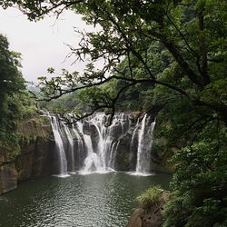 Waterfall in forest