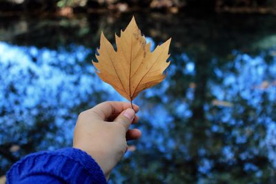 Close-up of hand holding autumn leaf