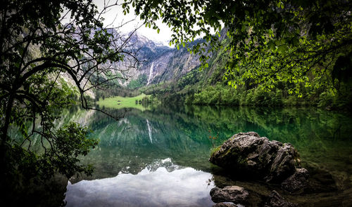 Scenic view of lake and mountains at forest