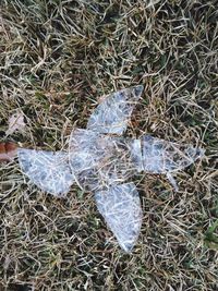 High angle view of dry grass on field