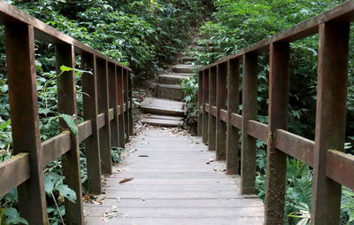 Empty footpath amidst trees in forest