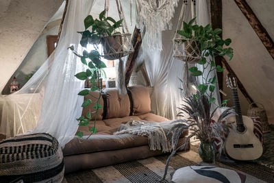 Potted plants on table at home