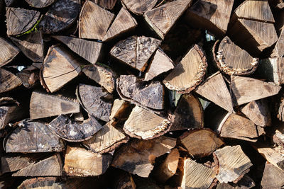 Full frame shot of logs in forest