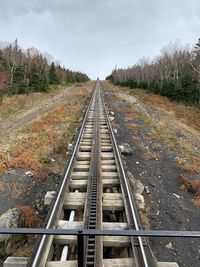 Railroad tracks amidst trees against sky
