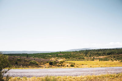 Scenic view of landscape against clear sky