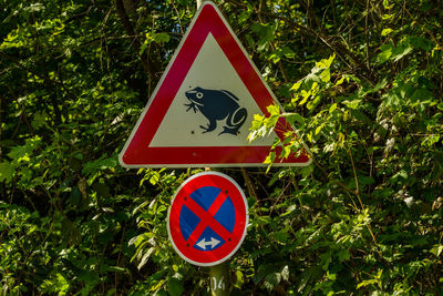 Close-up of road sign against trees