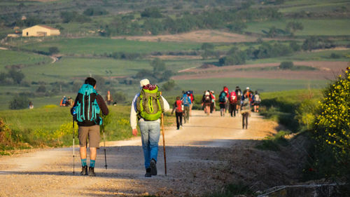 Rear view of hikers walking on footpath