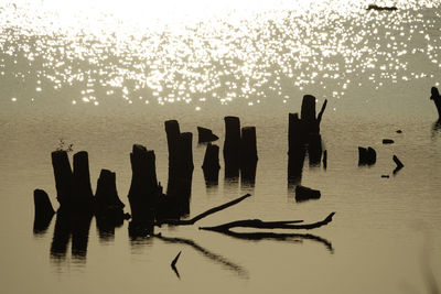 Silhouette wooden posts in sea against sky at sunset
