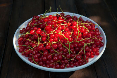 Red berries of red currant in the rays of the sun on a dark wooden background