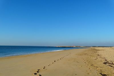 Scenic view of beach against clear blue sky