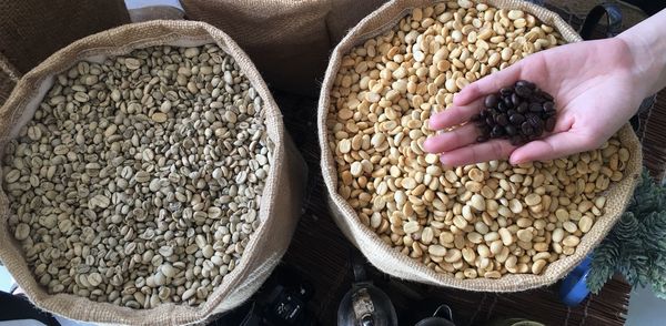 Cropped hand of person holding roasted coffee beans at market stall