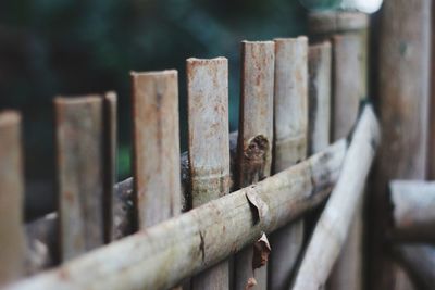 Close-up of rusty metal fence against blurred background