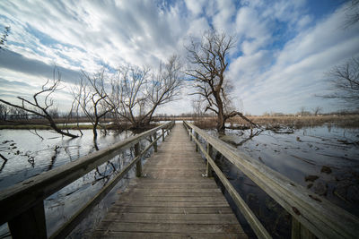 Bridge over pond leads through barren trees of fall to a pond