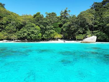 Scenic view of sea against clear blue sky