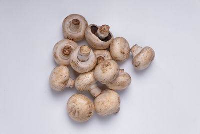 High angle view of mushrooms against white background