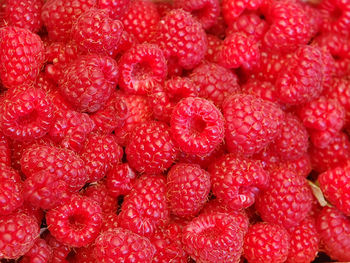 Background of ripe juicy raspberries