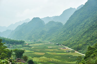 Scenic view of agricultural field against mountains