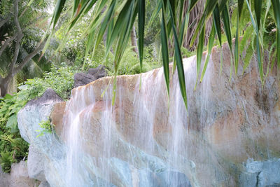 Scenic view of waterfall