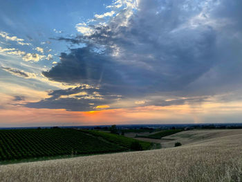 Scenic view of field against sky during sunset