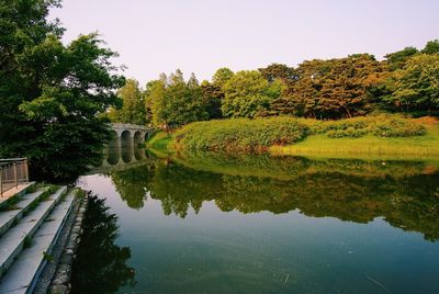 Reflection of trees in water against sky